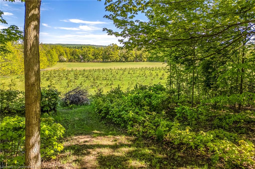 691 Mt St Louis Road Road W Property Photo 10
