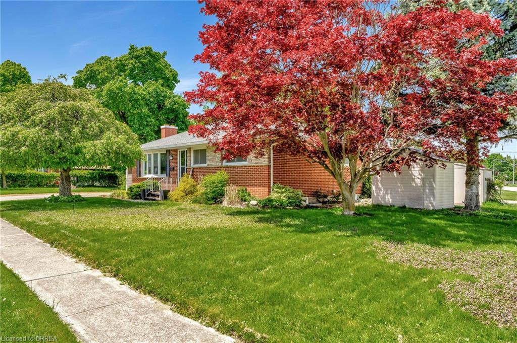 1017 Braeside Street Property Photo 1
