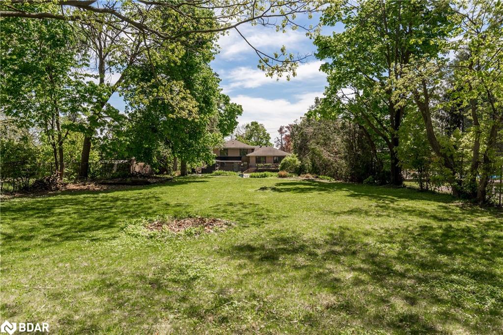 296 Codrington Street Property Photo 34