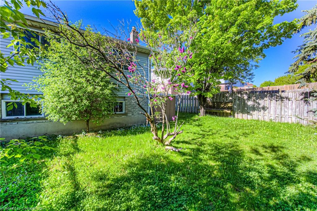 10 Catalina Court Property Photo 31