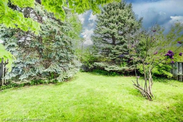 10 Catalina Court Property Photo 34