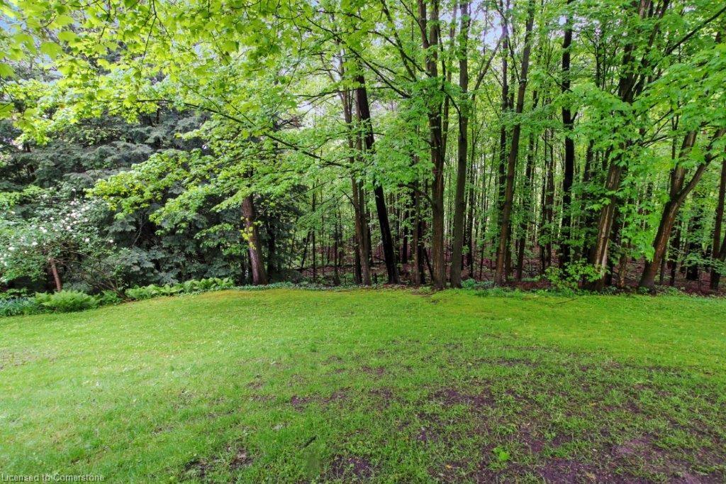 504 6th Conc Rd Property Photo 36