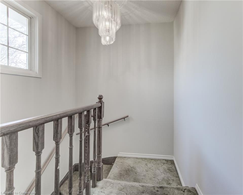 27 Tassie Lane Property Photo 13