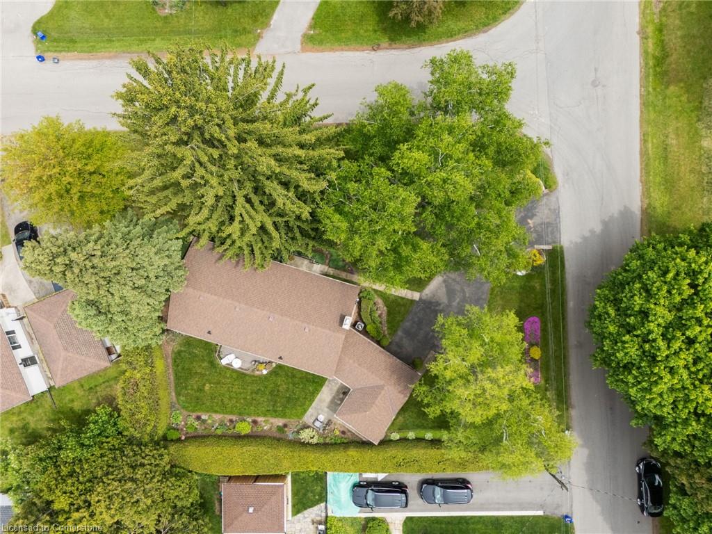12 Carrington Court Property Photo 35