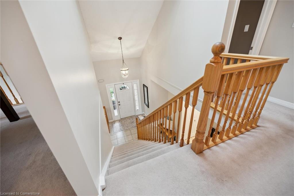 65 Winifred Street Property Photo 20
