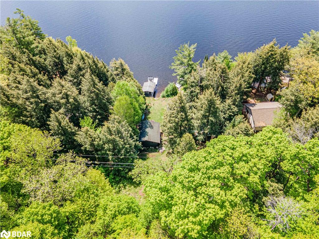 228 Macbeth Island Island Property Photo 46