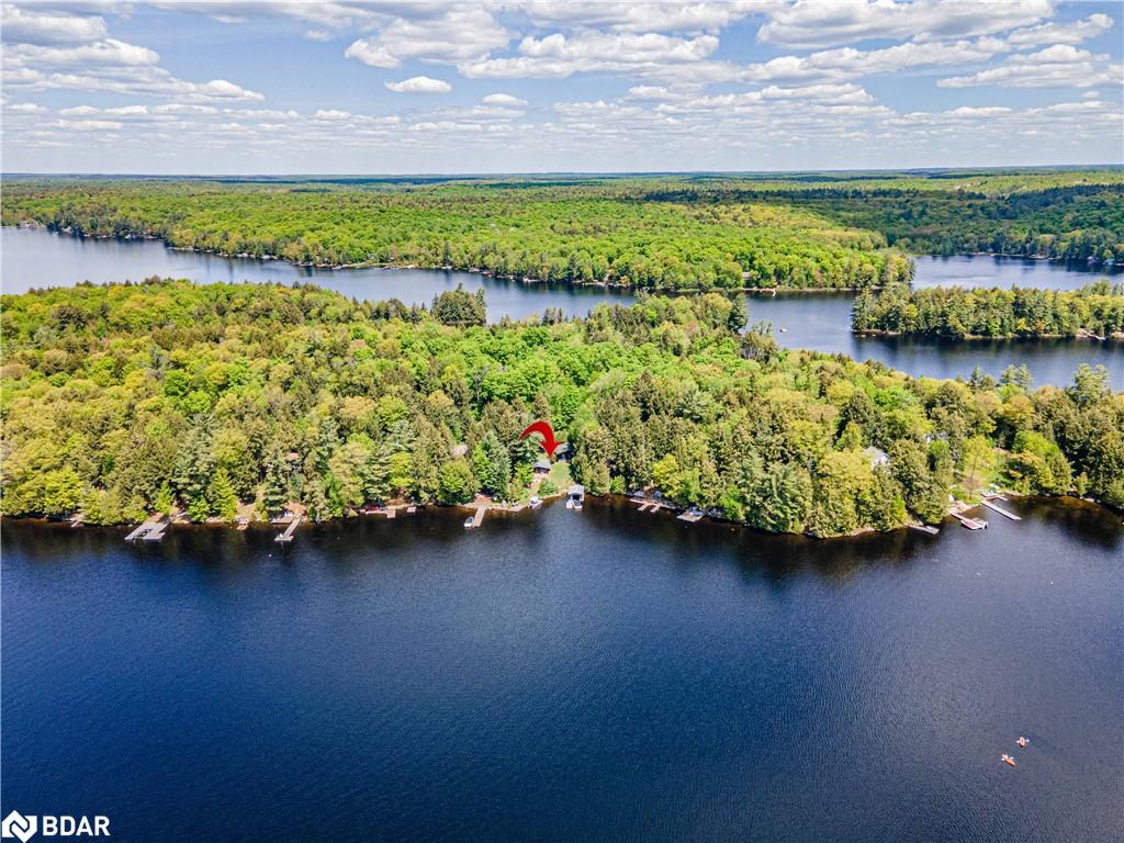 228 Macbeth Island Island Property Photo 49
