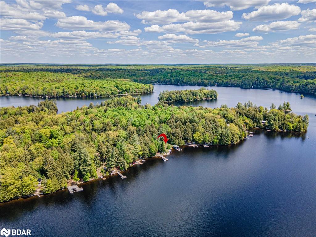 228 Macbeth Island Island Property Photo 50