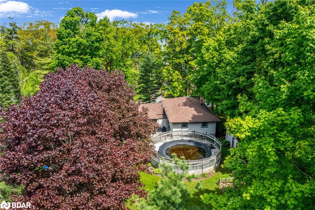 3923 Guest Road Property Photo 34