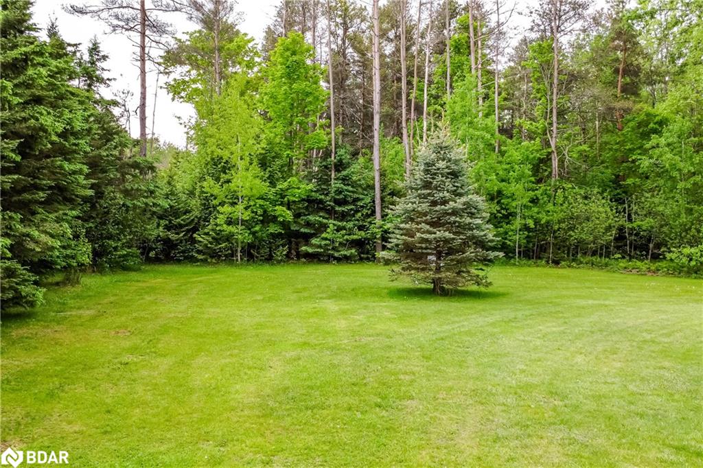 8468 8th Line Property Photo 28