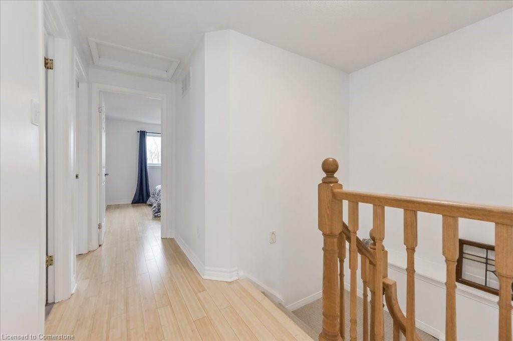 22 Robertson Street Property Photo 23