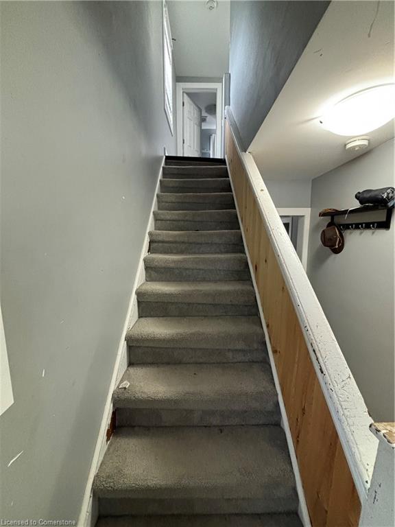 41 Kennedy Street Property Photo 7