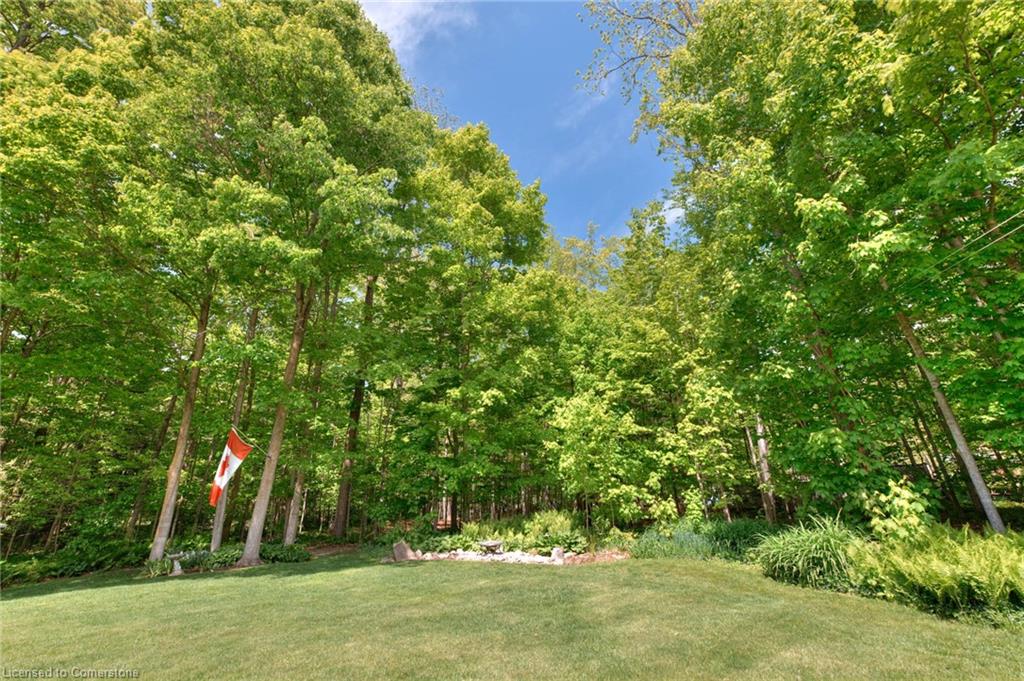 19 Sandpiper Court Property Photo 46
