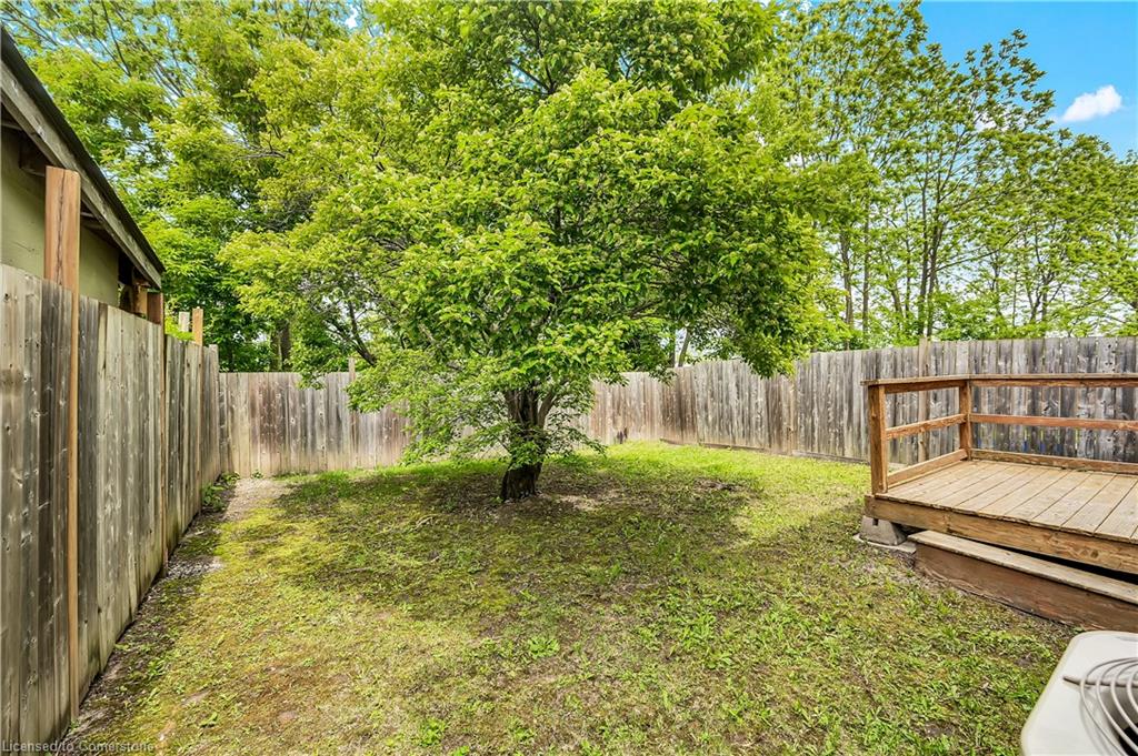27a Walnut Street Property Photo 29