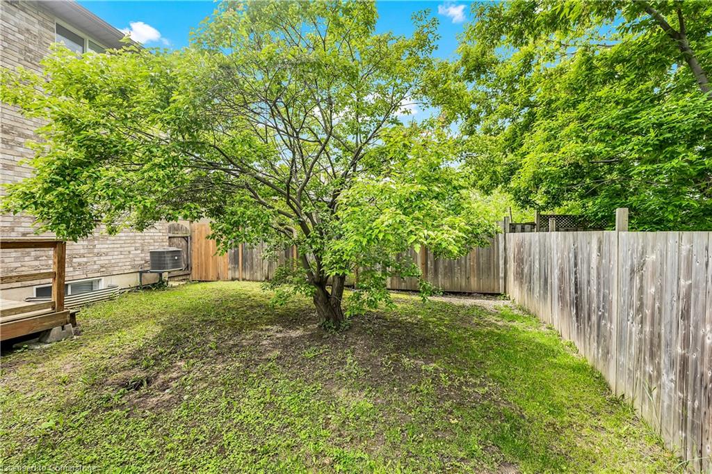 27a Walnut Street Property Photo 34