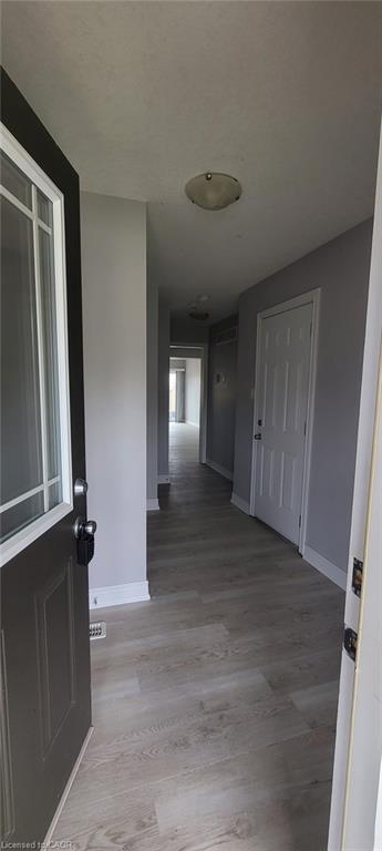 10 Mccann Street Property Photo 2