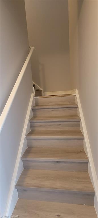 10 Mccann Street Property Photo 19