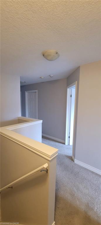 10 Mccann Street Property Photo 20