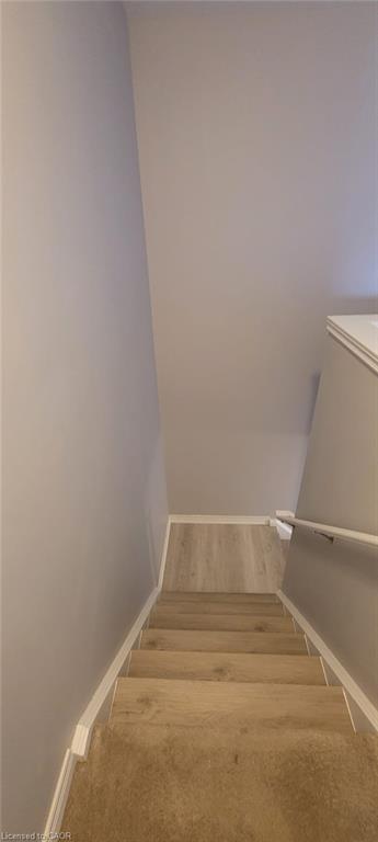 10 Mccann Street Property Photo 21