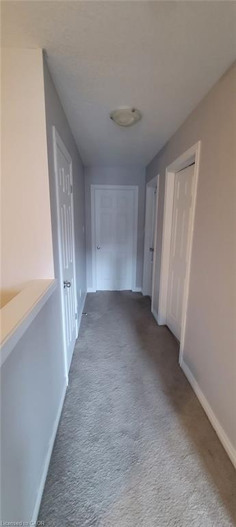 10 Mccann Street Property Photo 23