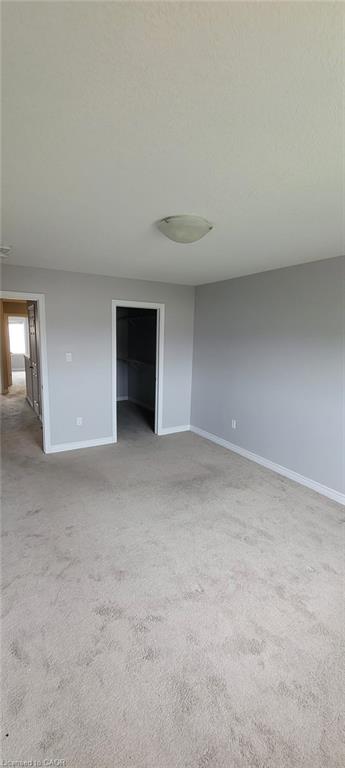 10 Mccann Street Property Photo 25
