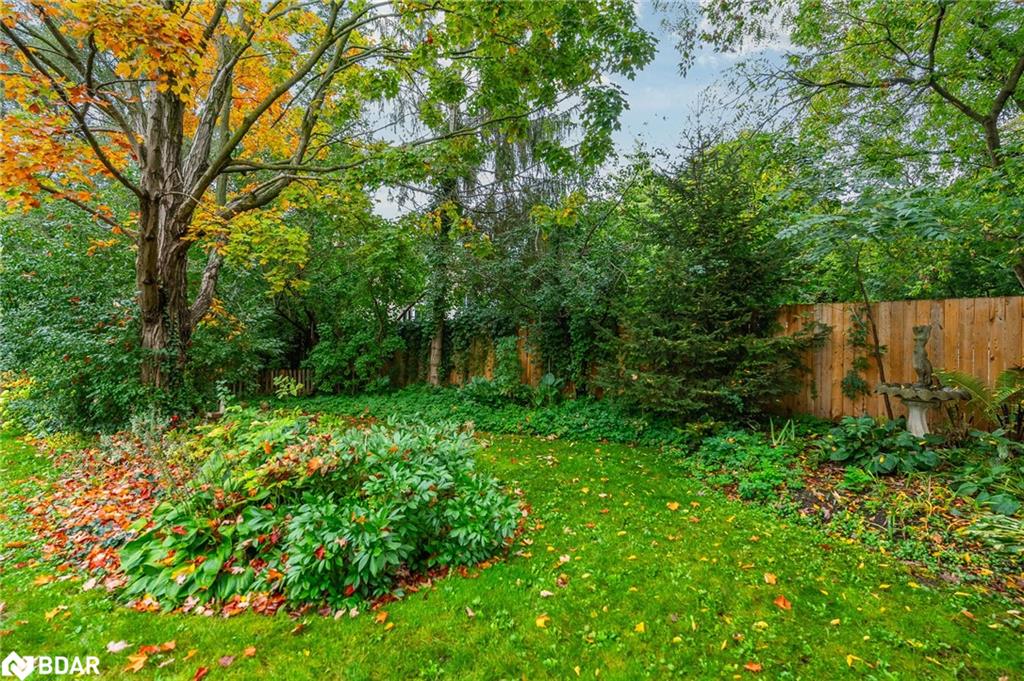 25 William Street Property Photo 39