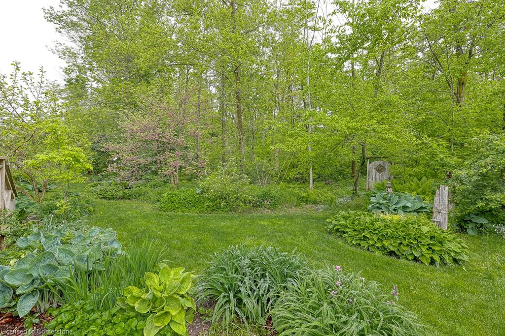 7-20 Forrest Avenue W Property Photo 33