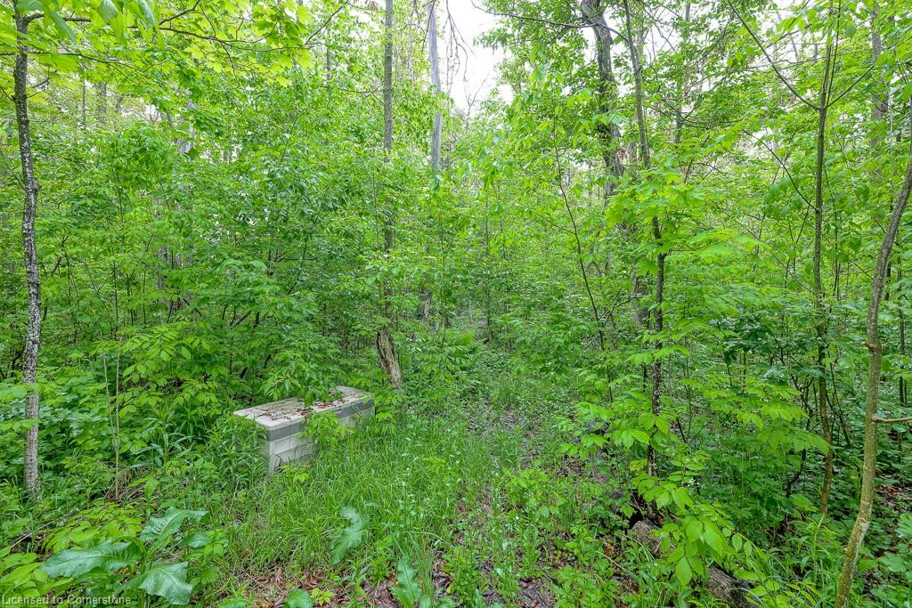 7-20 Forrest Avenue W Property Photo 36