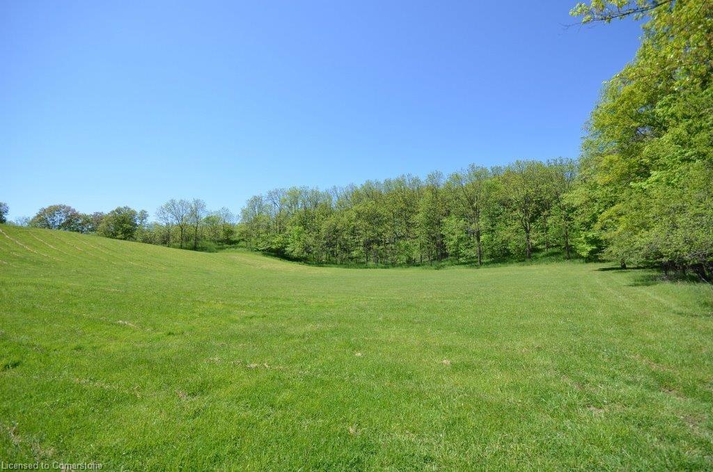 878 Sulphur Springs Road Property Photo 2