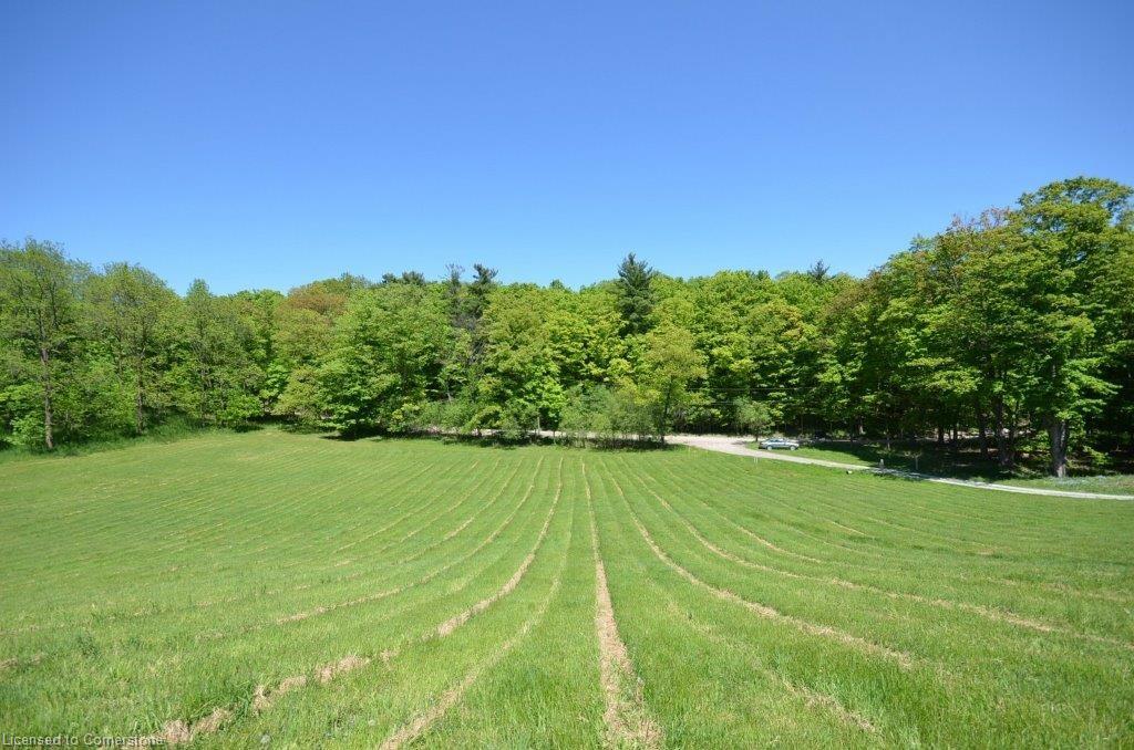 878 Sulphur Springs Road Property Photo 3