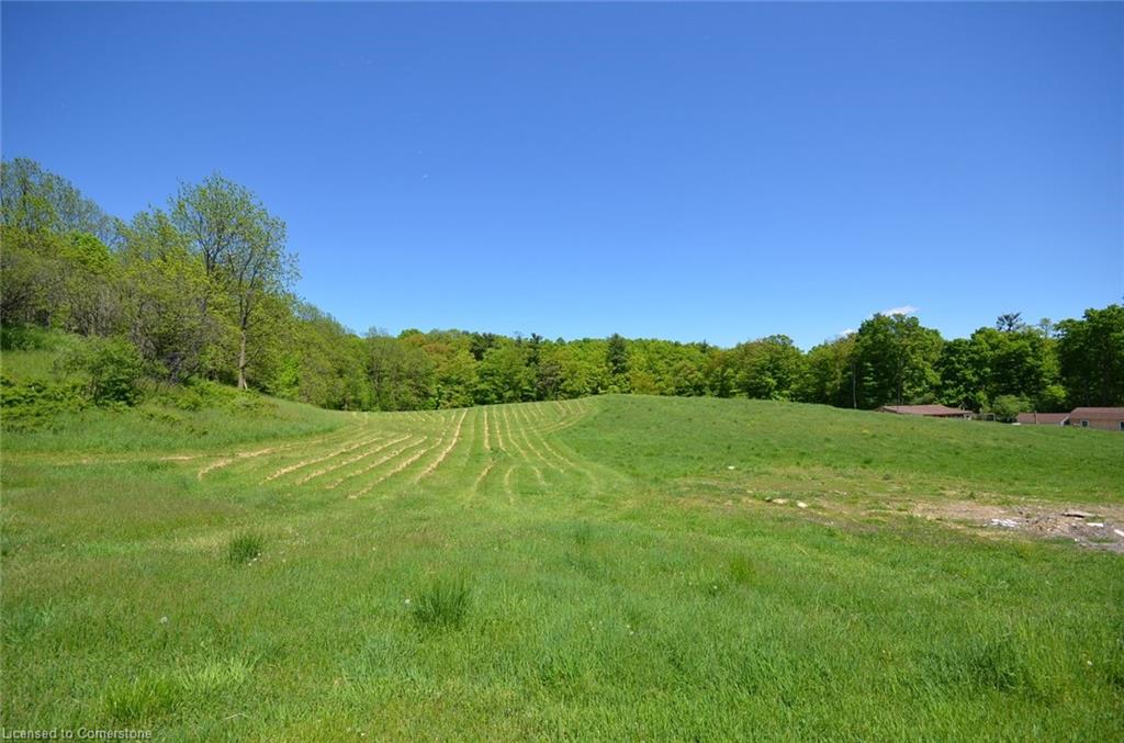 878 Sulphur Springs Road Property Photo 5