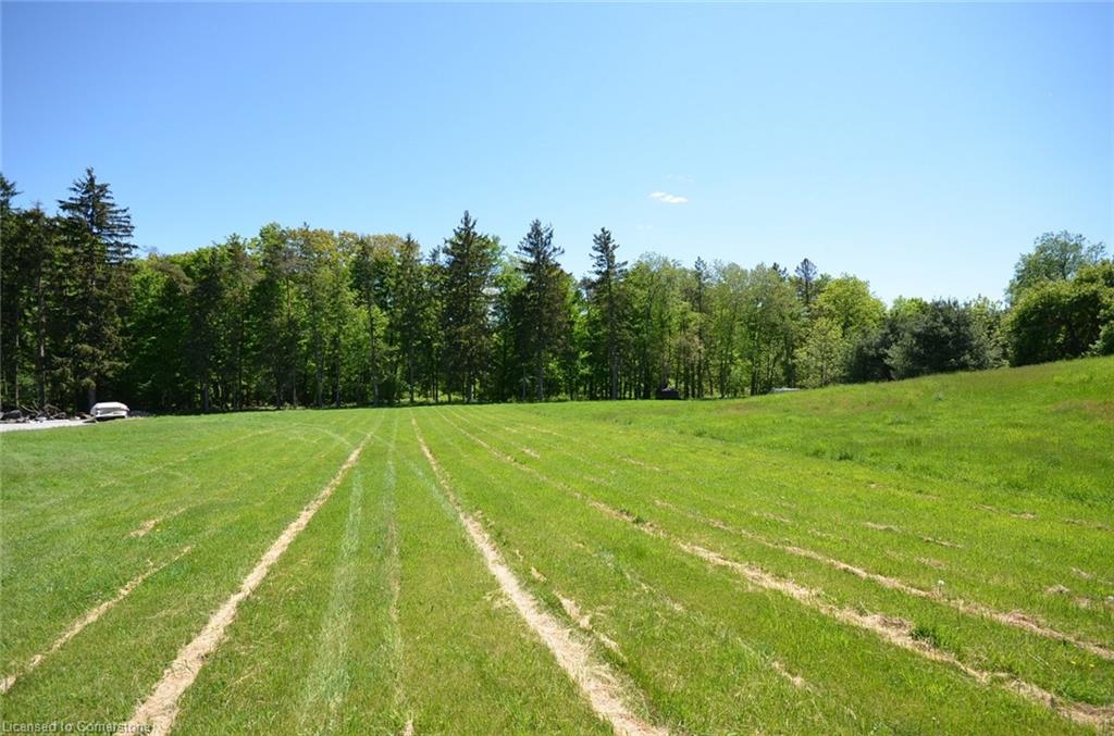 878 Sulphur Springs Road Property Photo 6