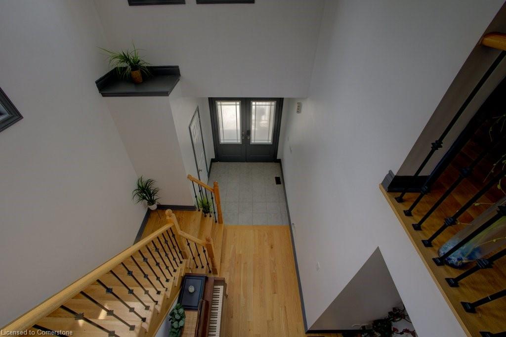 53 Mcgovern Street Property Photo 22