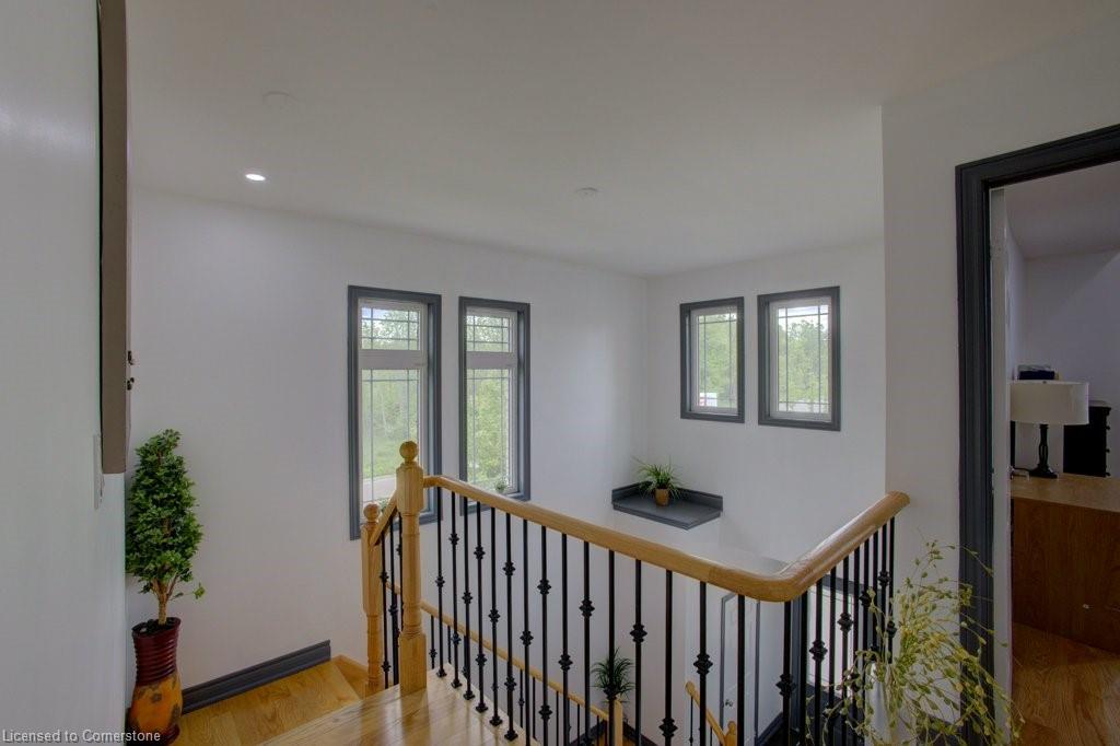 53 Mcgovern Street Property Photo 23