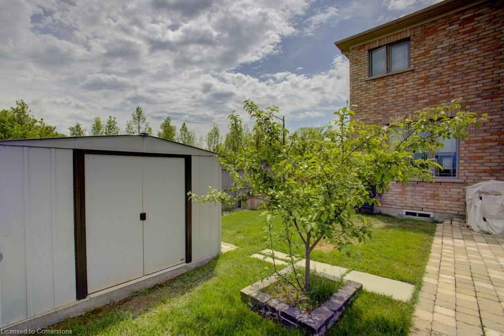 53 Mcgovern Street Property Photo 45
