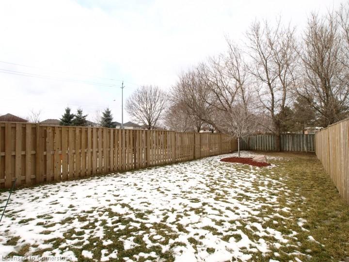 454 Colt Street Property Photo 16