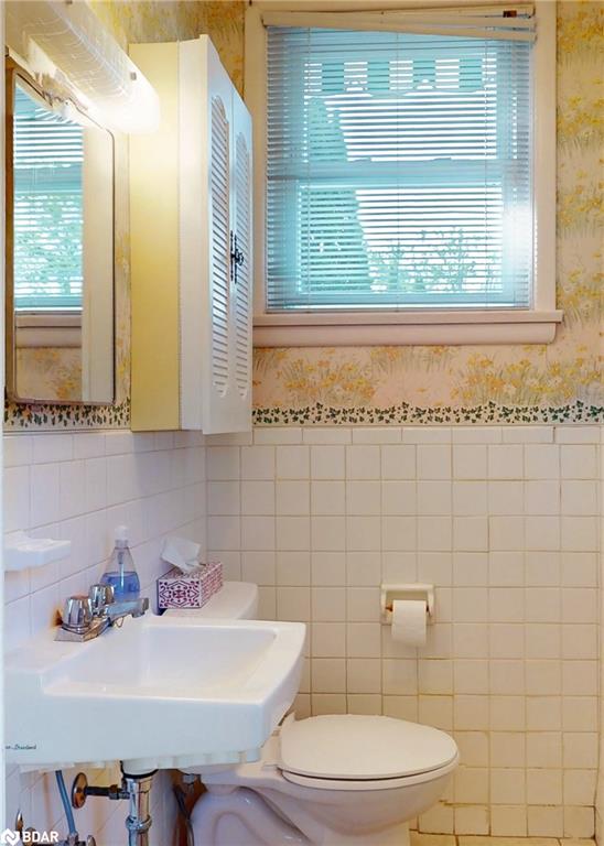 14 Francis Road Property Photo 19