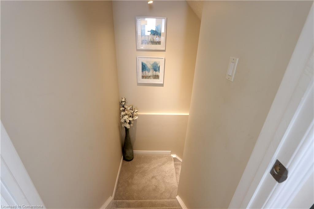 2 Bridleridge Street Property Photo 36