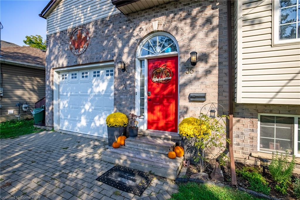 35 Davidson Street Property Photo 1
