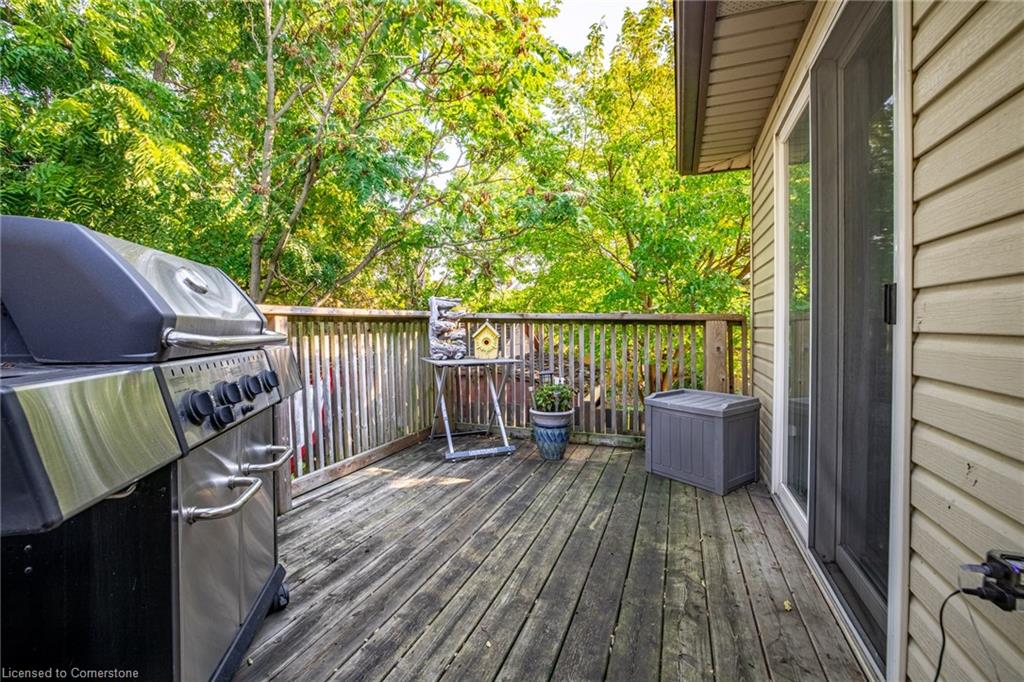 35 Davidson Street Property Photo 20