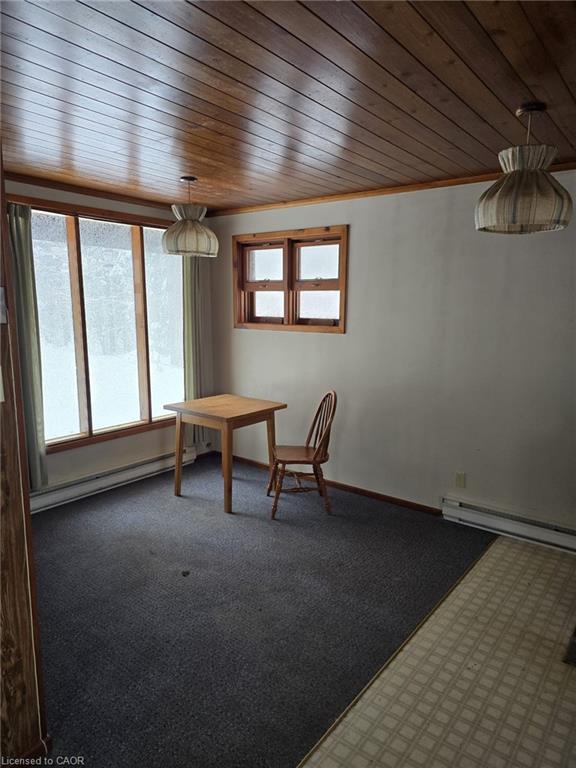 429-439 Lynx Lake Road Property Photo 41