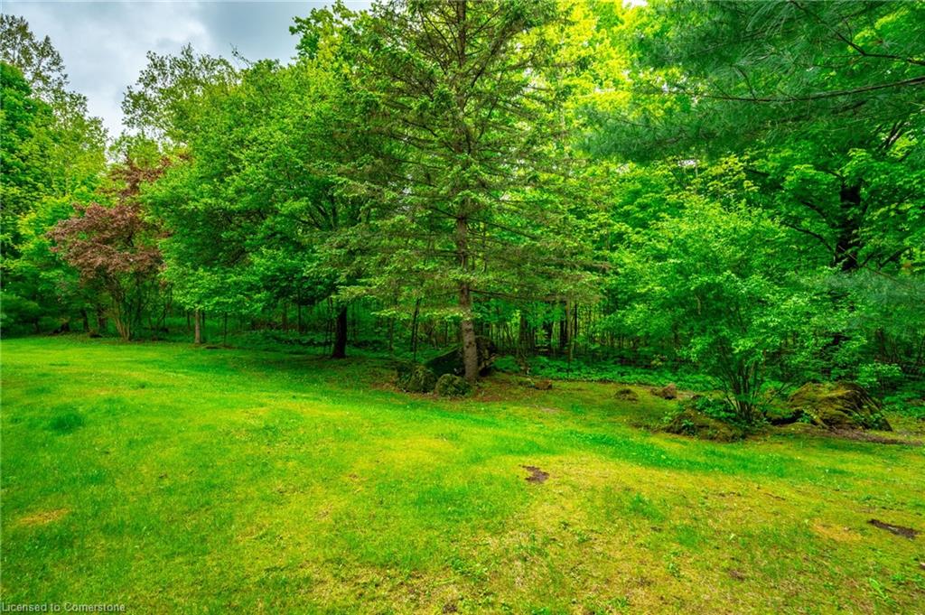 7575 Milburough Line Property Photo 46