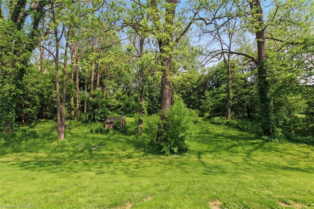 80 Race Street Property Photo 19