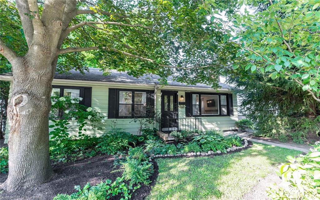31 Academy Street Property Photo 1