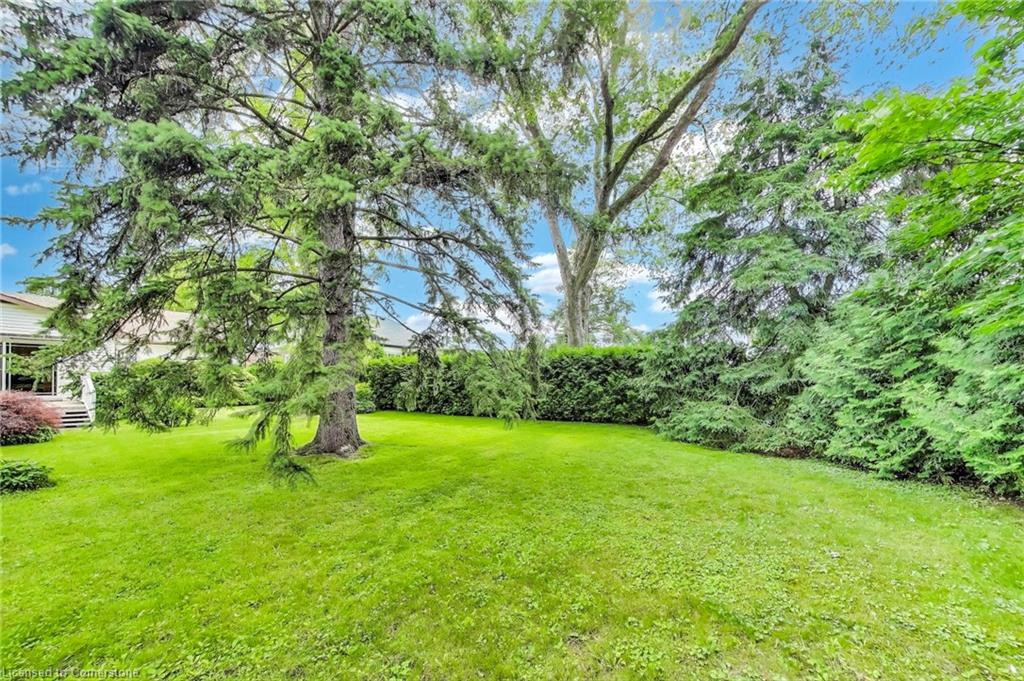 9 Avalon Avenue Property Photo 36