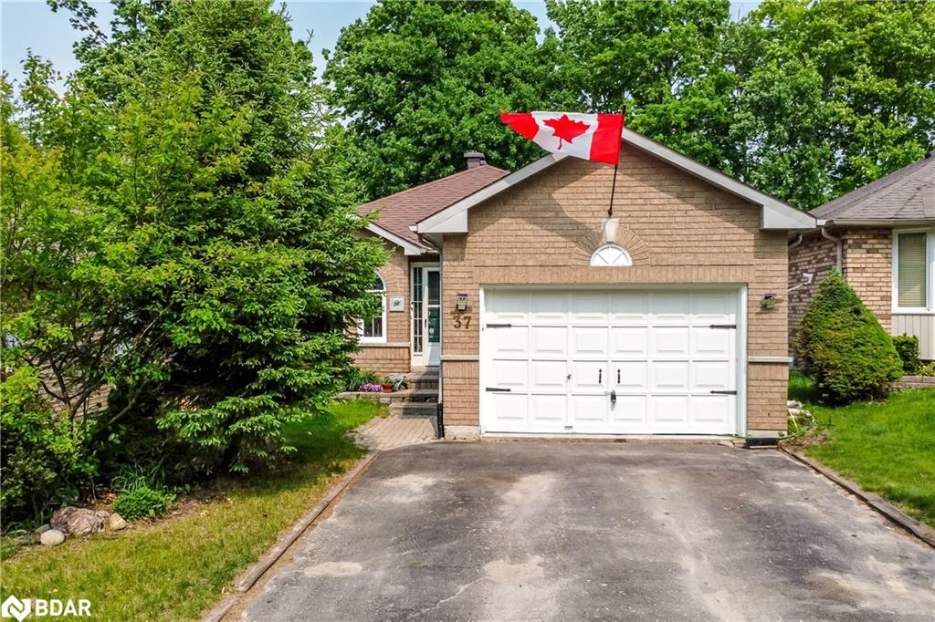 37 Nicholson Drive Property Photo 1