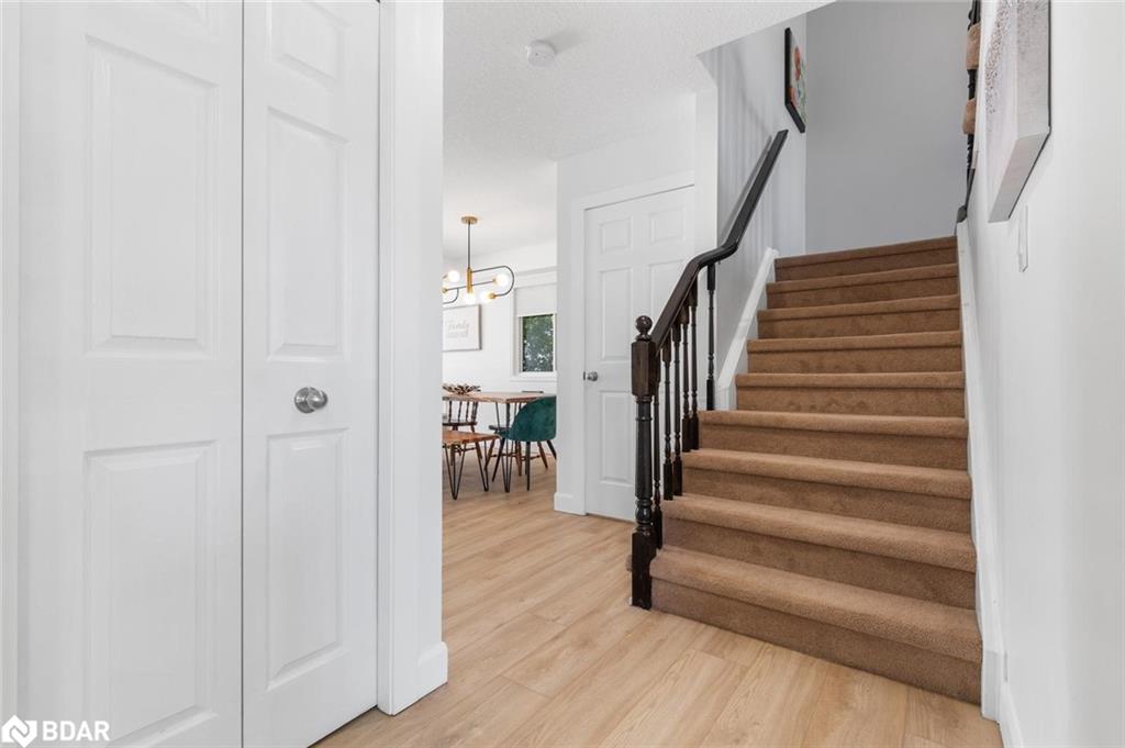 209 Sunny Meadow Court Property Photo 16