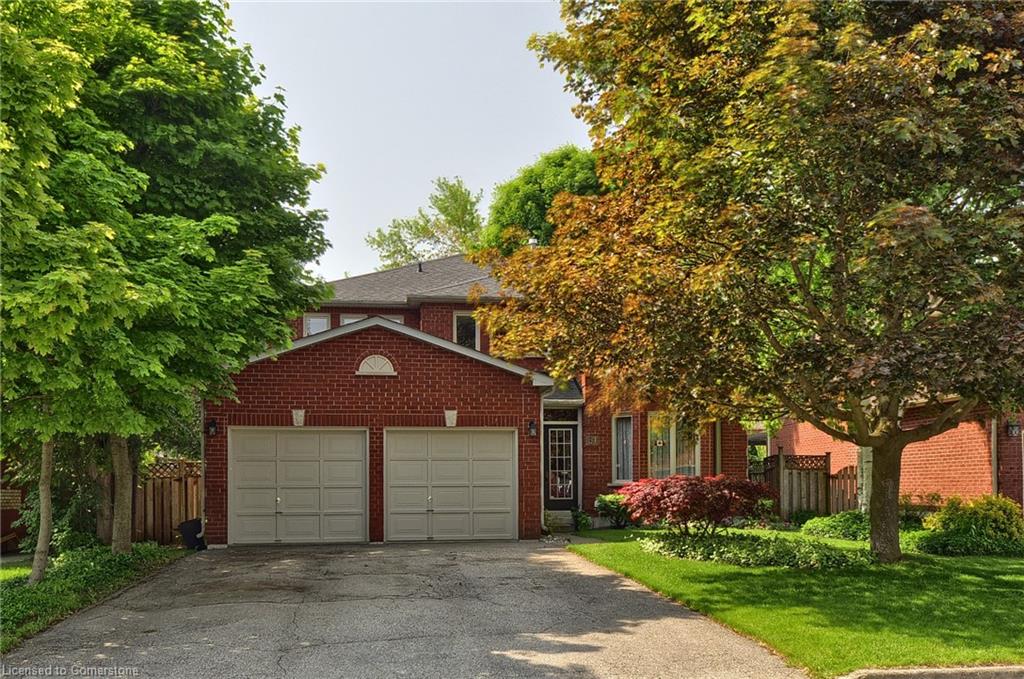 61 Harwood Road Property Photo 1