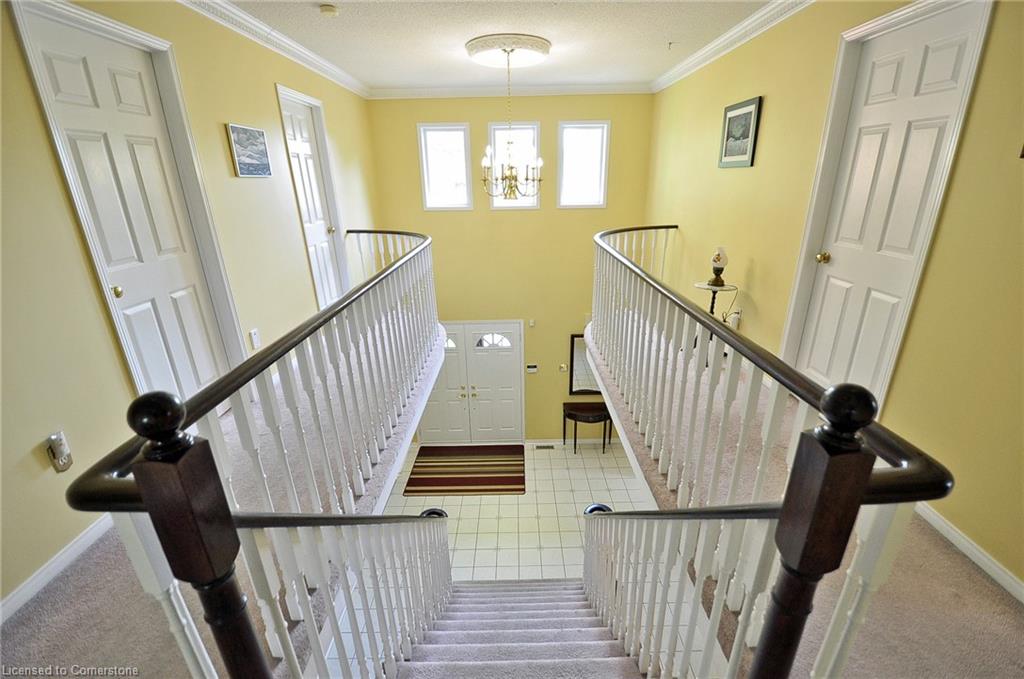 61 Harwood Road Property Photo 24