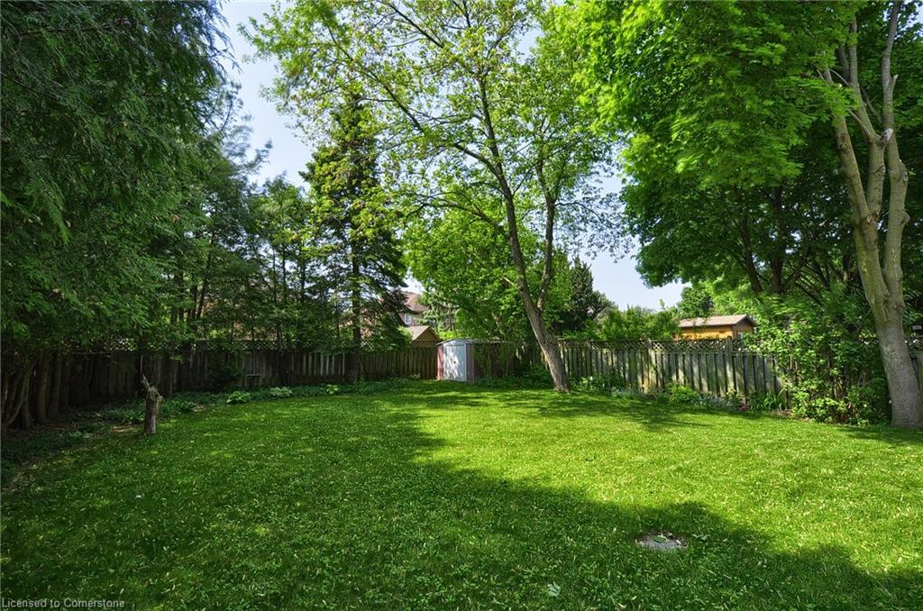 61 Harwood Road Property Photo 35